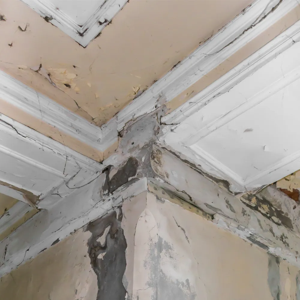 Types of Housing Disrepair Leeds